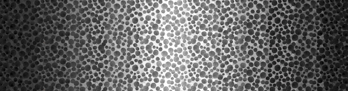 Bumbleberries - Black to White Ombre (BBOM6) by Lewis & Irene - Cotton Blender