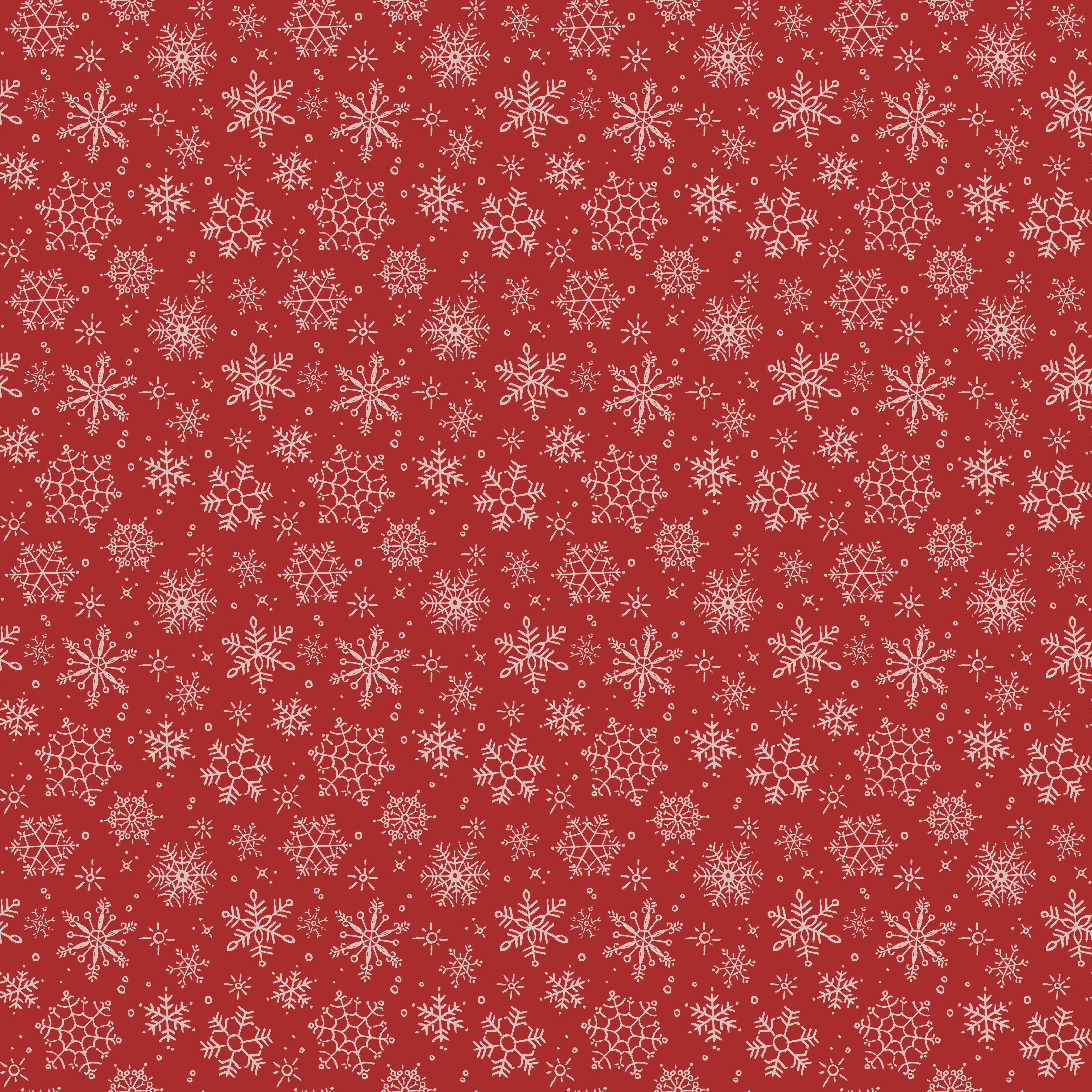 Magical Winterland | Snowflake Barn Red 108" Wide Back by Lisa Audit for Riley Blake | WB14949-BARNRED