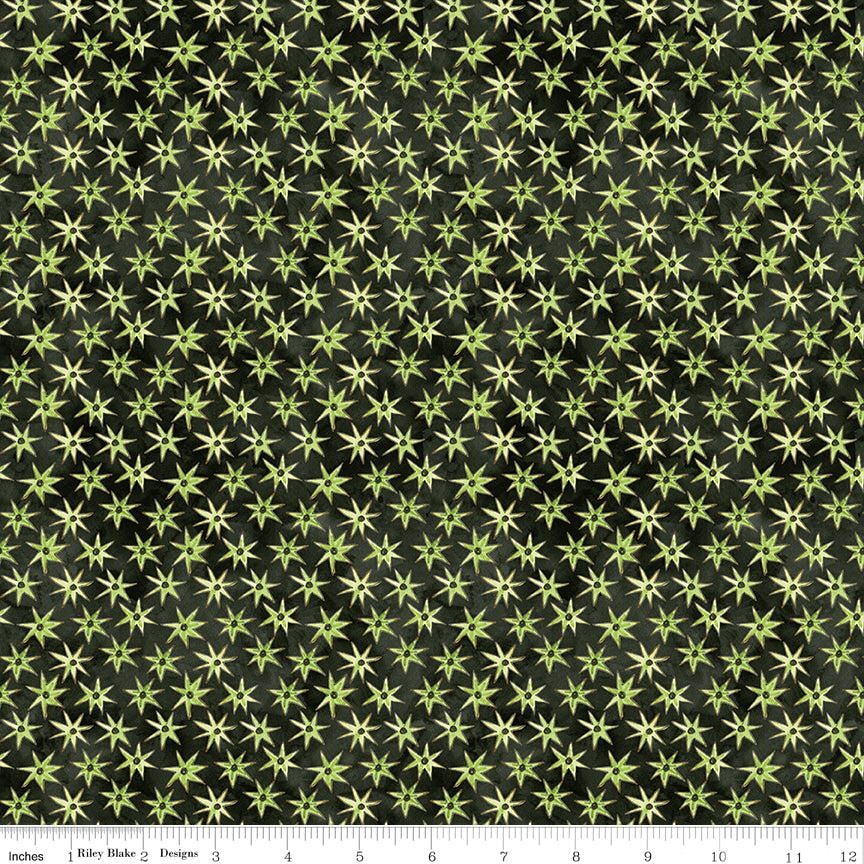 Ghoul Friends | Stars Black by Teresa Kogut for Riley Blake | C16055-BLACK