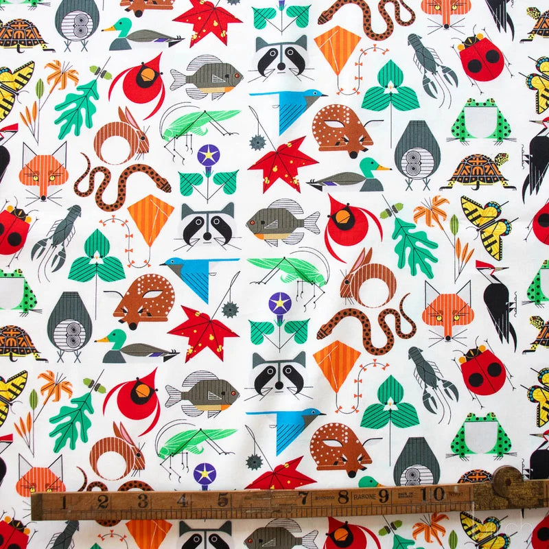 Iconic Vol. 2 | Small Space for All Species by Charley Harper for Birch Fabrics | CH-410 | 100% Organic Cotton