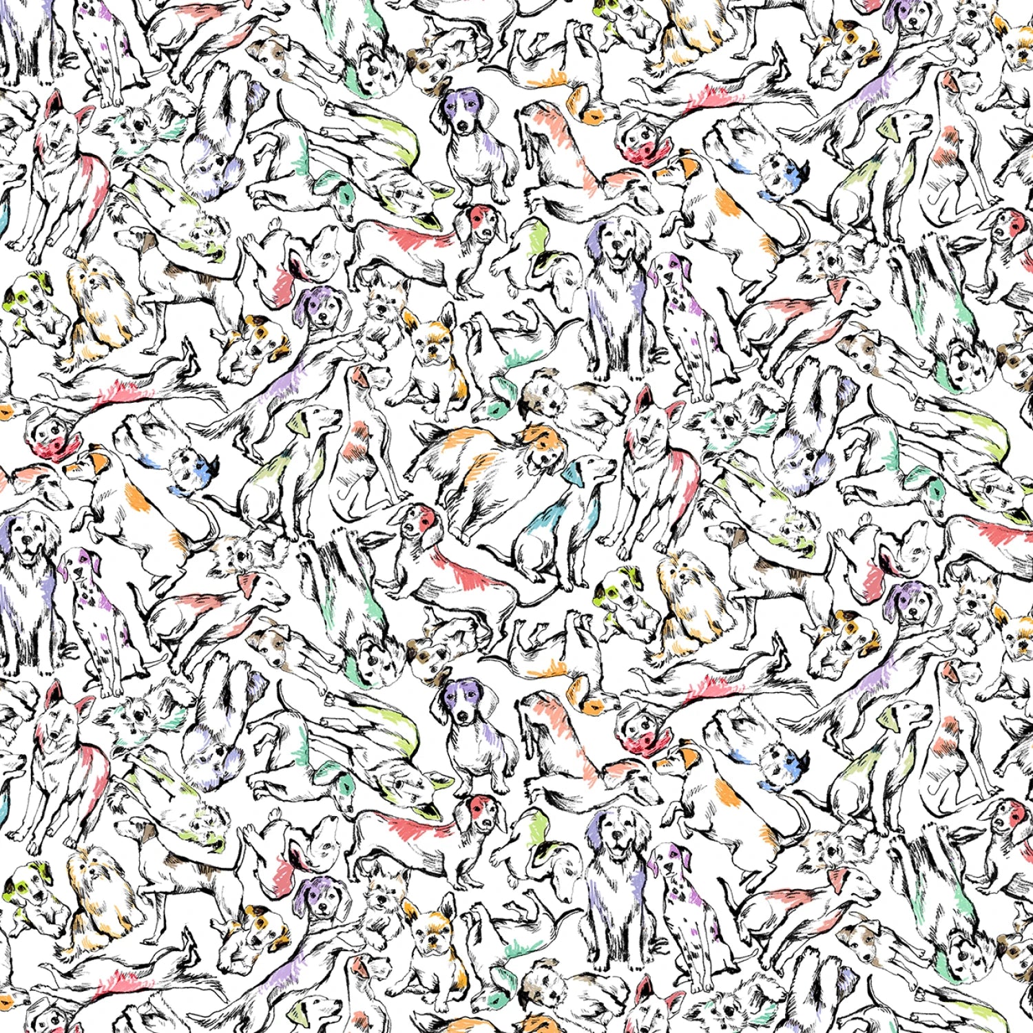 Paws in the Rain | Lounging Dogs - White by Michael Miller Fabrics | DCX12403-WHIT