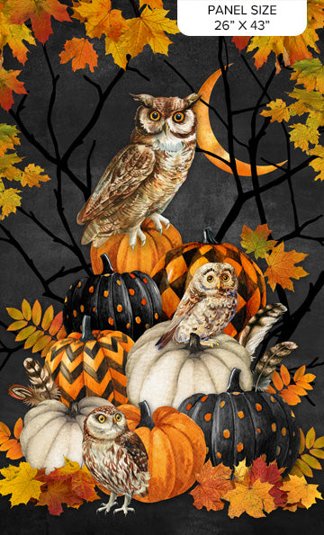 Night Owl | 26" Panel Charcoal Multi by Deborah Edwards for Northcott | DP28842-96