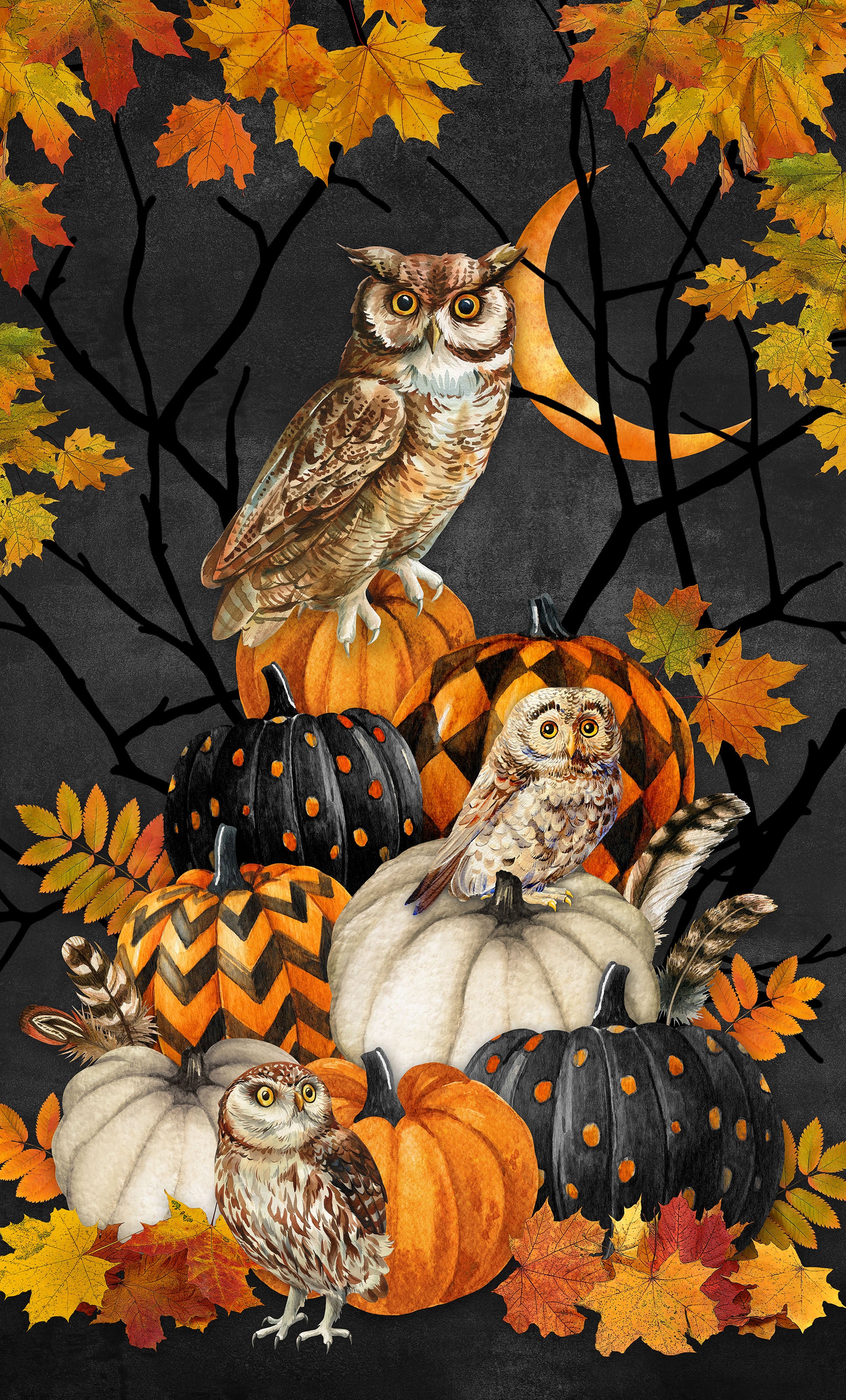 Night Owl | 26" Panel Charcoal Multi by Deborah Edwards for Northcott | DP28842-96
