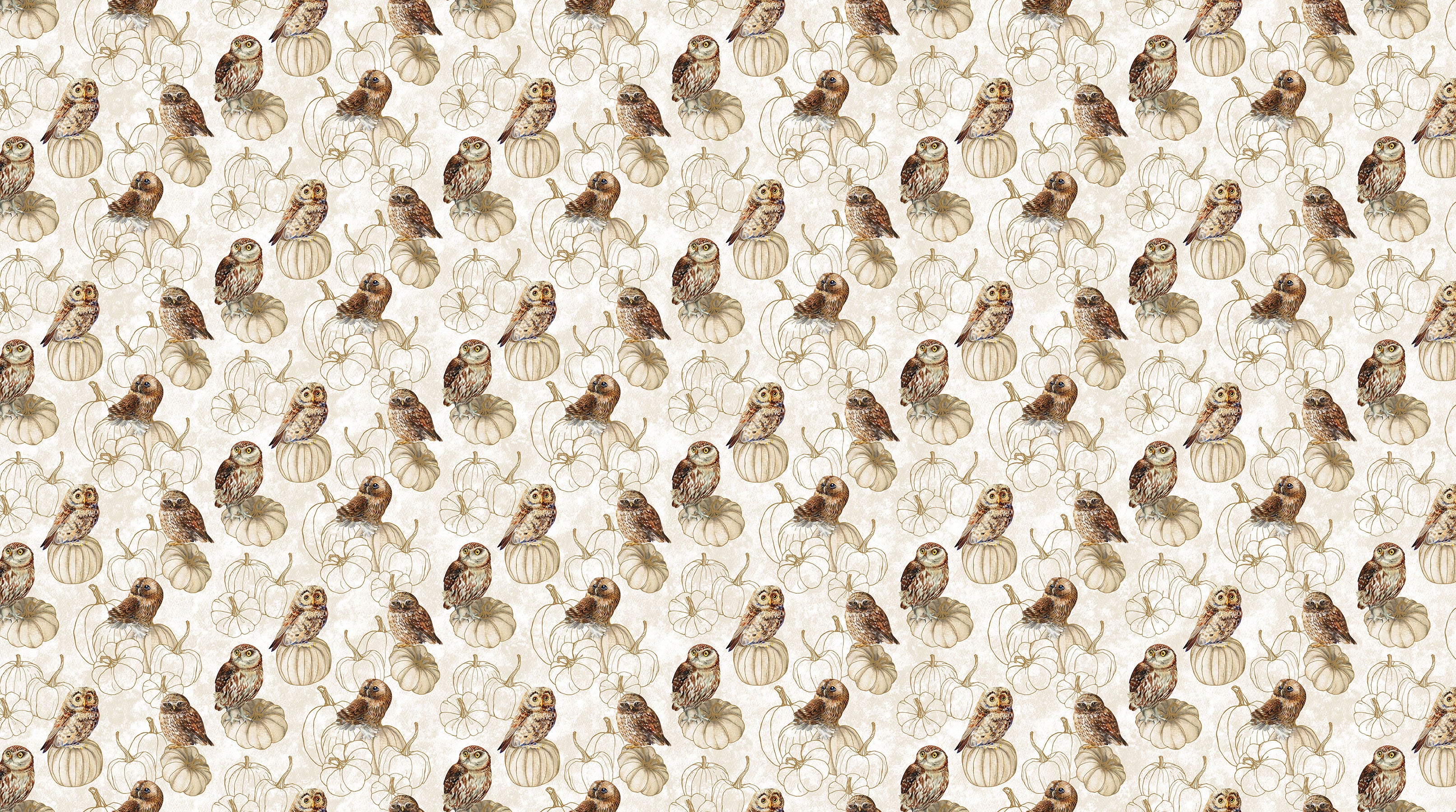 Night Owl | Owls Cream Multi by Deborah Edwards for Northcott | DP28850-11