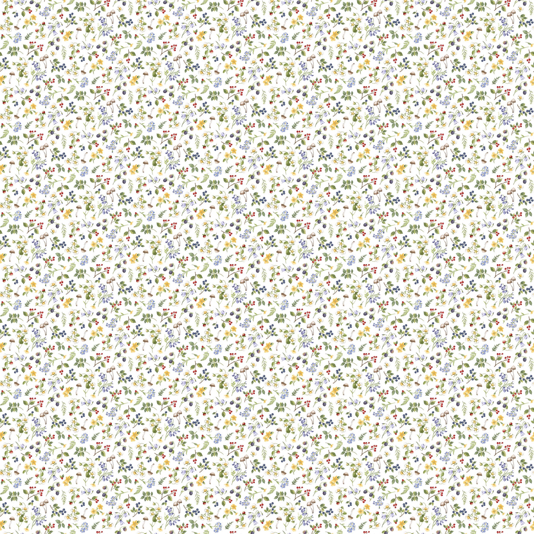 Country Mouse | Small Floral Toss White Multi by Deborah Edwards for Northcott | DP29010-10