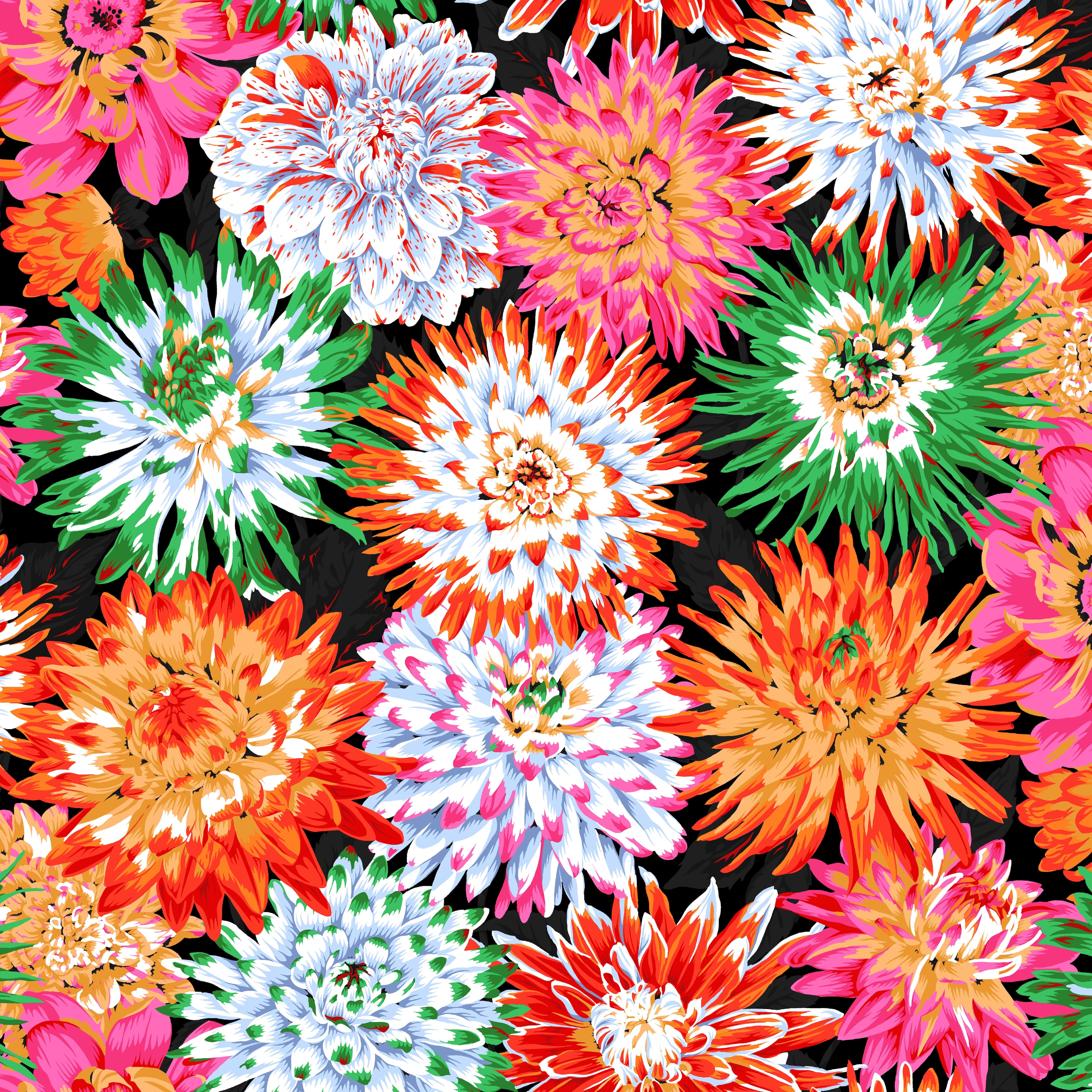 February 2026 | Cactus Dahlia - Contrast by Kaffe Fassett Collective for FreeSpirit | PWPJ054.CONTRAST