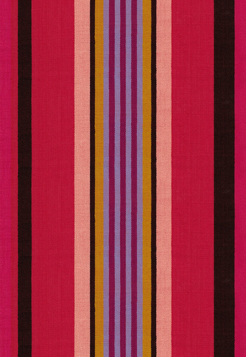 Narrative | Director - Warm by Anna Maria Textiles | Canvas-Weight Cotton