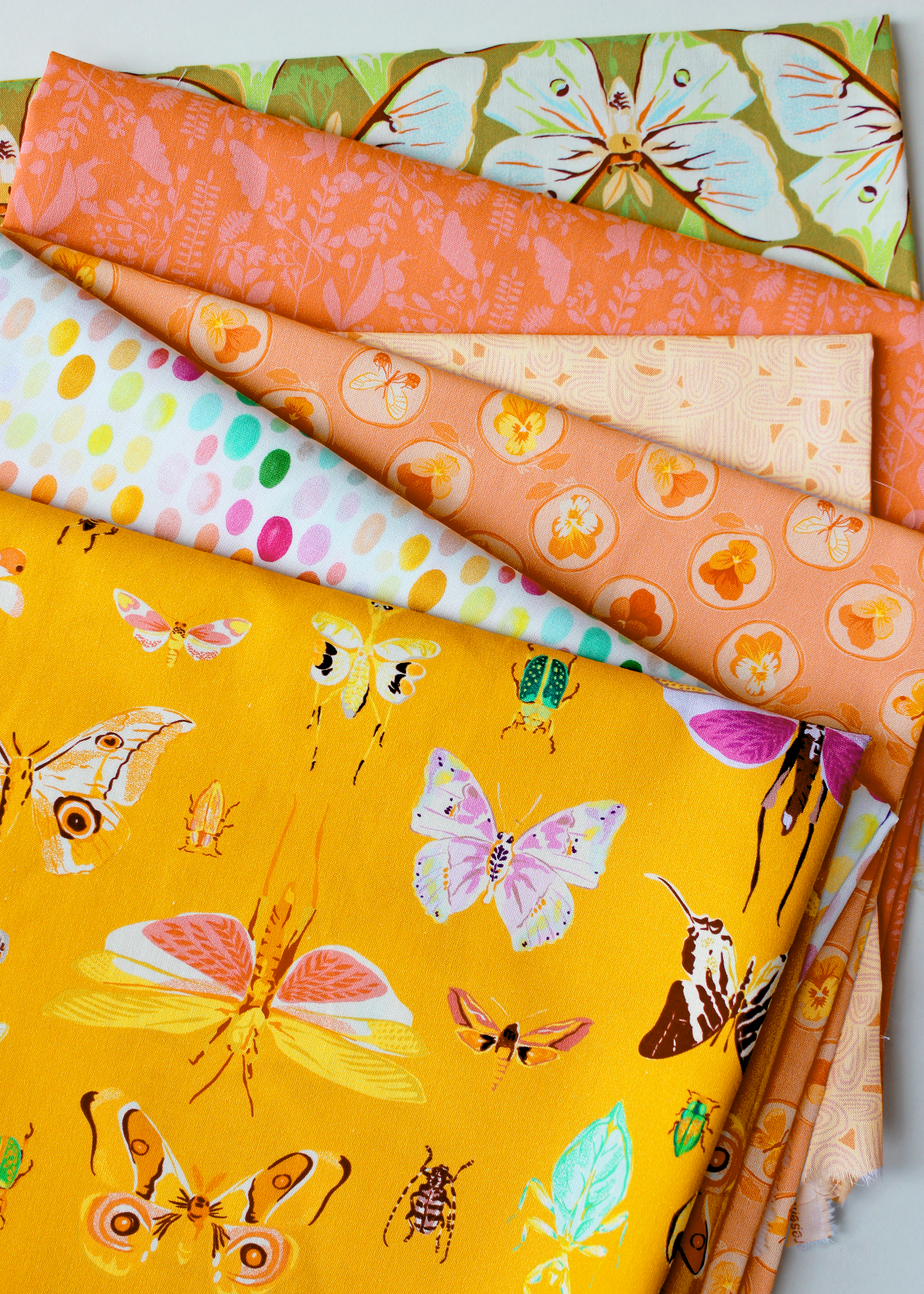 Insectarium | Square Dance Multi by Tamara Kate for Windham Fabrics | 54651DP-X